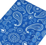 Blue Paisley Dread Head Band