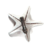 Starfish Dread Clip